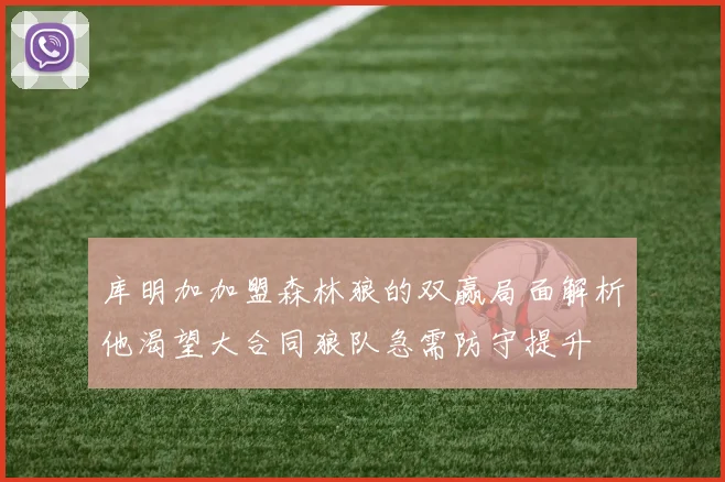 库明加加盟森林狼的双赢局面解析他渴望大合同狼队急需防守提升