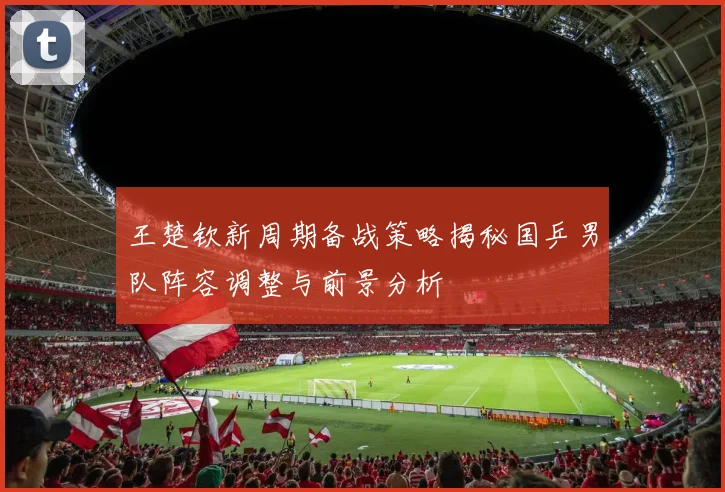 王楚钦新周期备战策略揭秘国乒男队阵容调整与前景分析